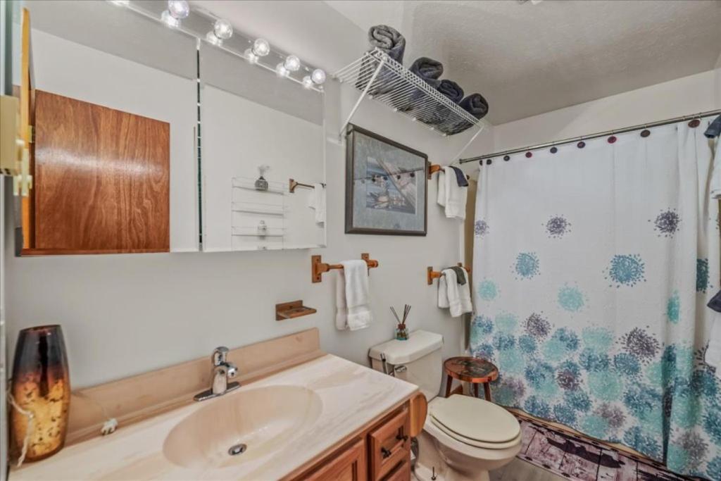 a bathroom with a sink and a toilet and a shower at Khan River Cabin in Great Cacapon