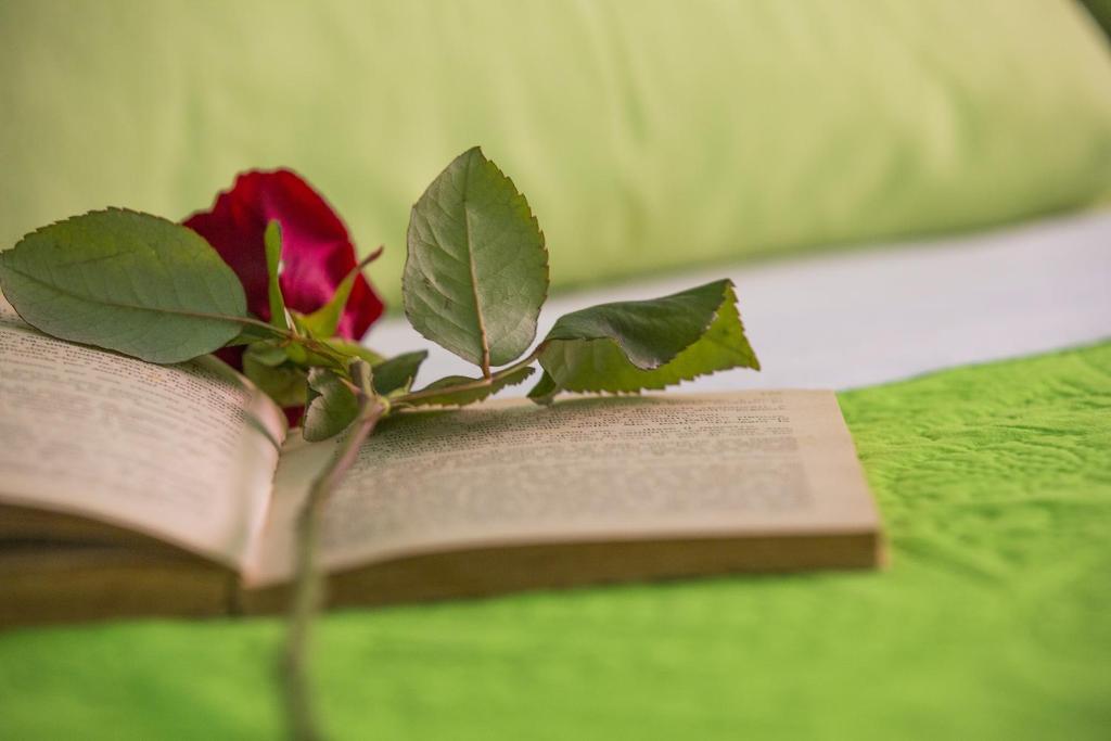 Knihovna v bed and breakfast