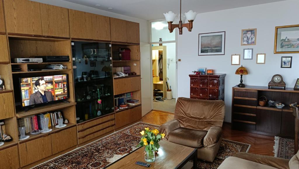 a living room with a chair and a television at City centar apartman in Zaječar
