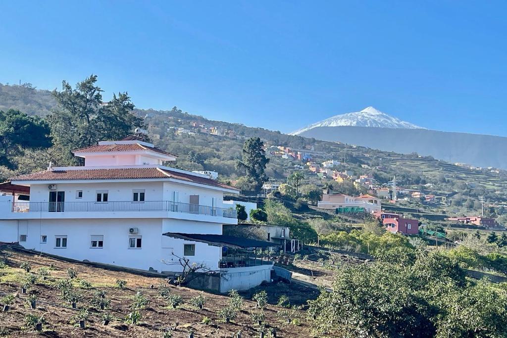 a white house on a hill with a mountain in the background at Sea view avocado Finca Ten Days in La Orotava