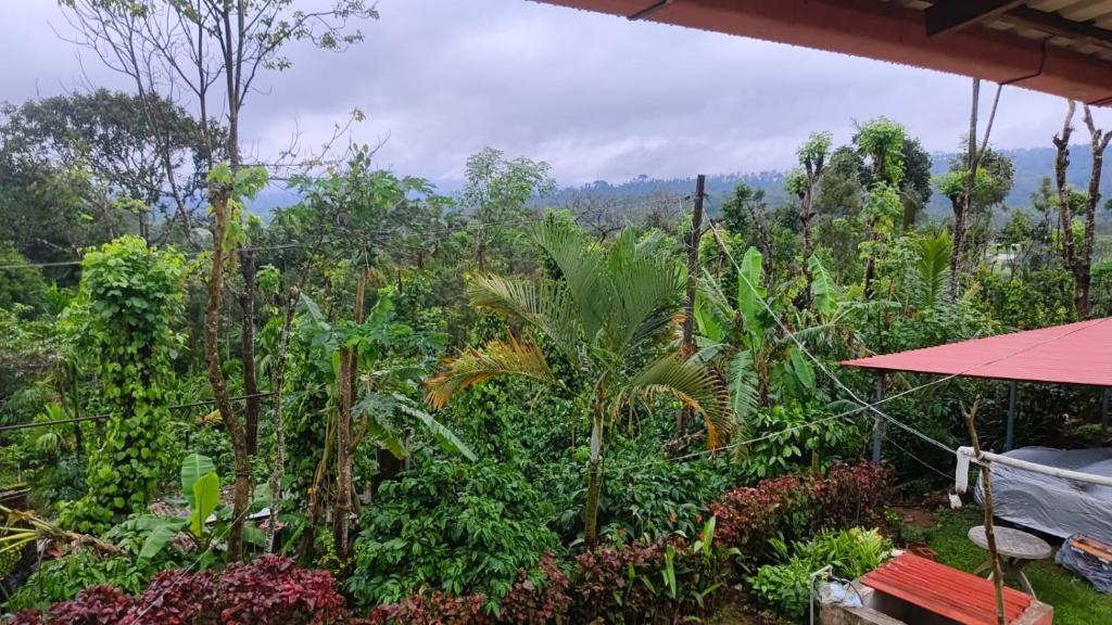 a view of a garden with trees and plants at Estateview Villa Homestay in Sakleshpur