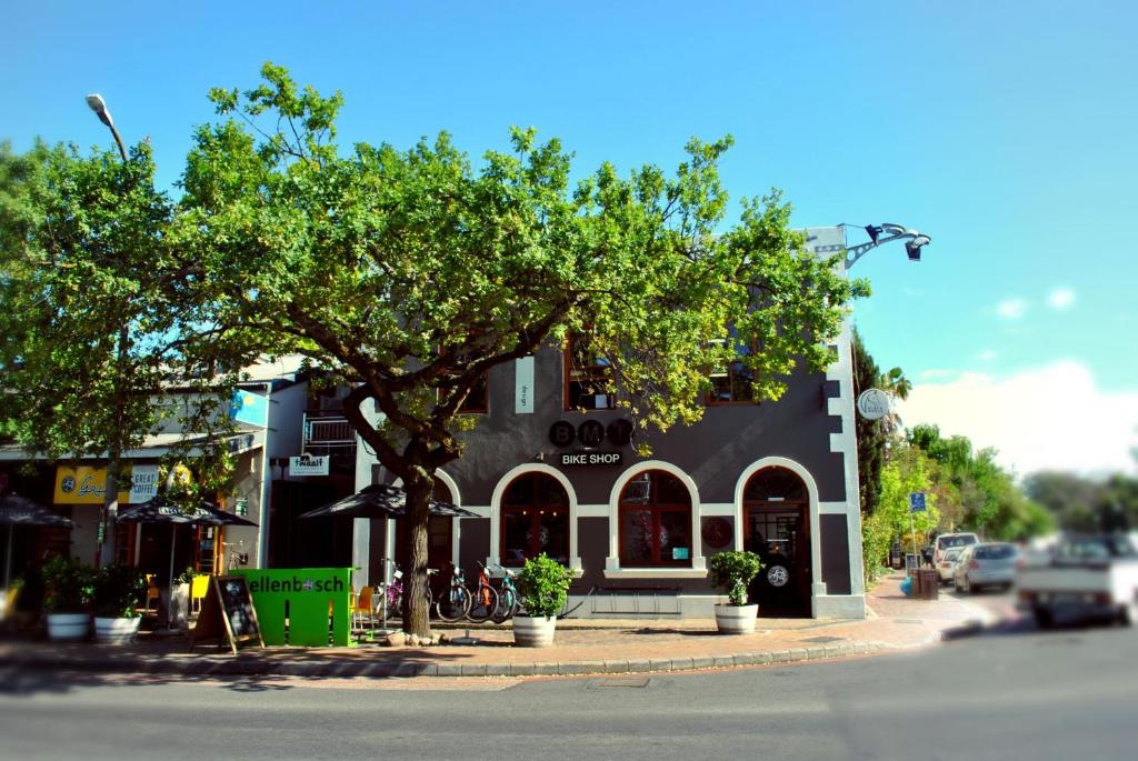 a building on the side of a street with a tree at BlackHorse Accommodation in Stellenbosch