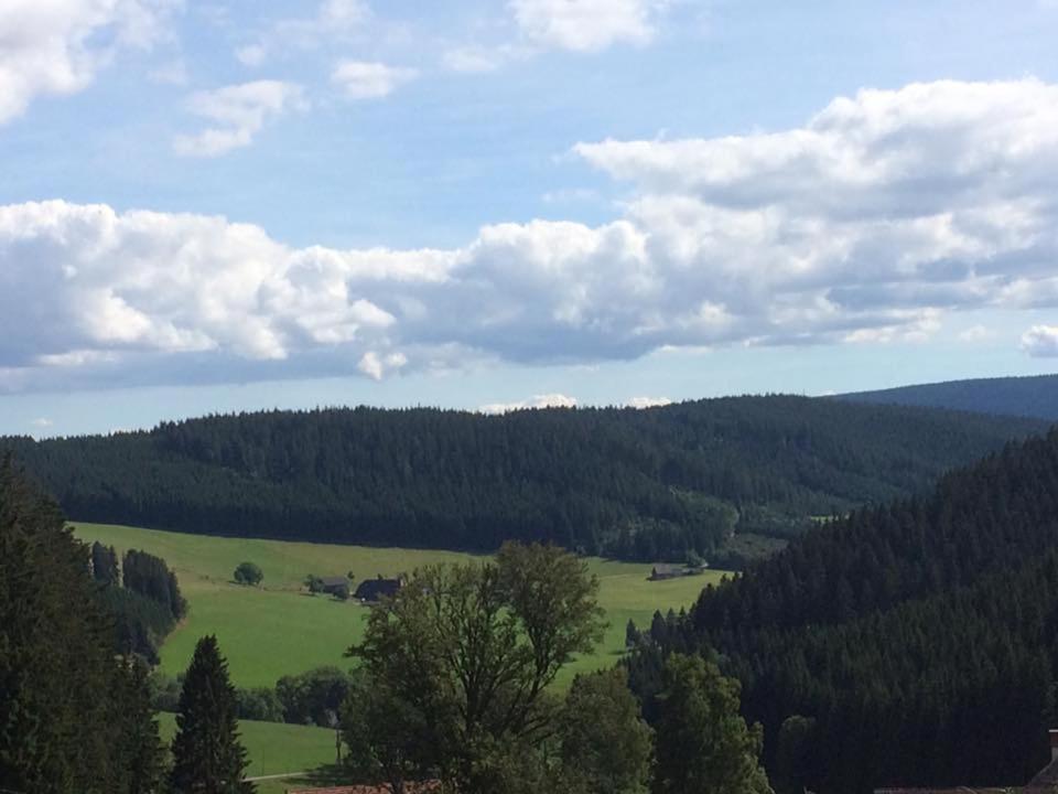 Příroda nedaleko hotelu