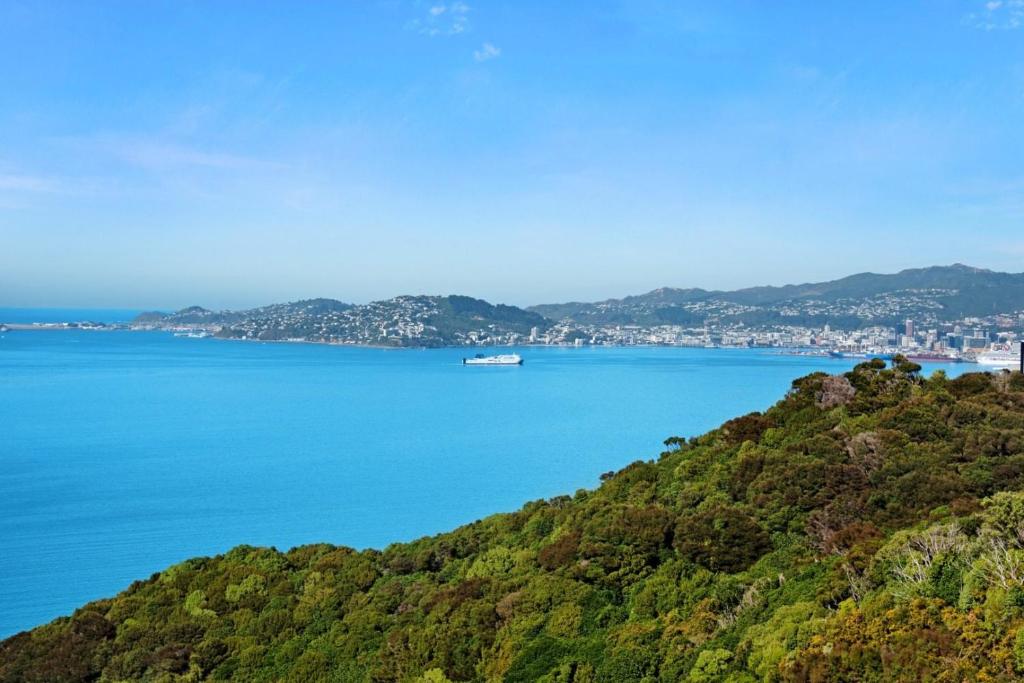 a view of the ocean with a boat on a hill at Million Dollar View in Wellington