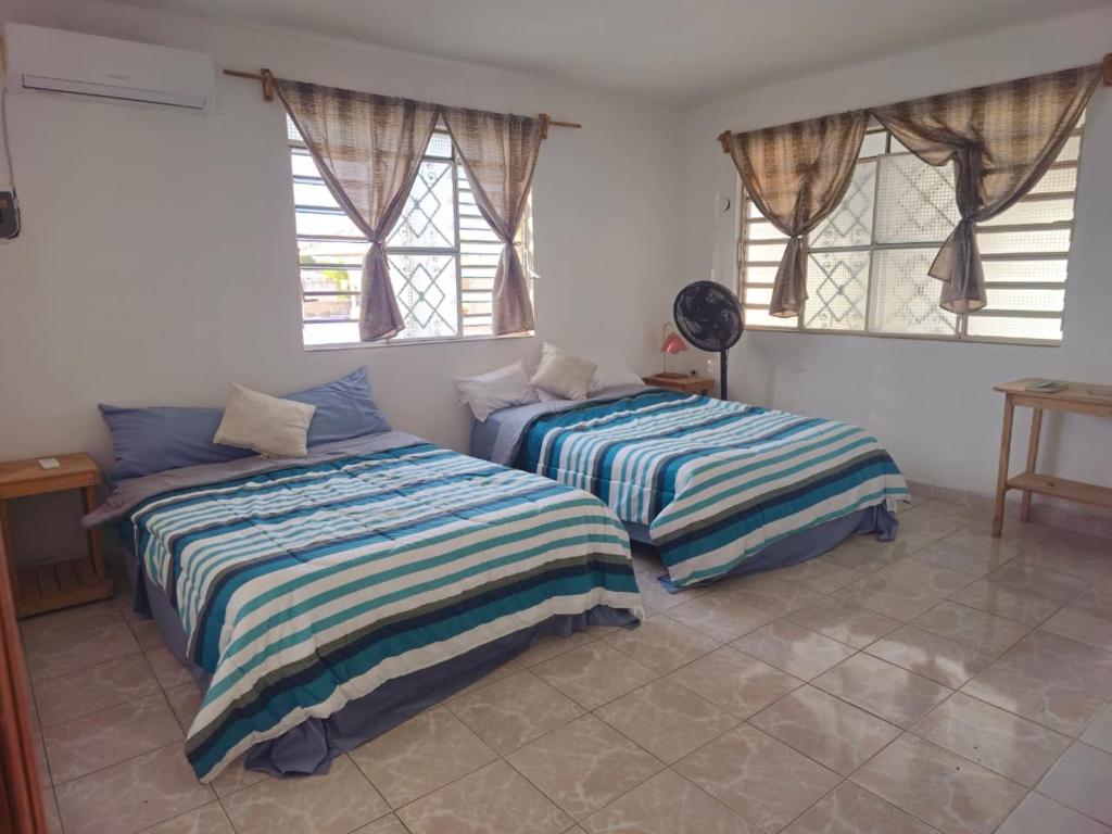 two beds sitting in a room with windows at Casa el Monte in Valladolid