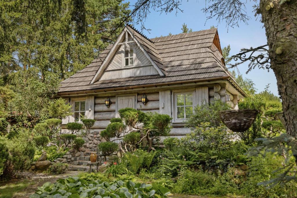 a tiny house in the woods at Przystanek Zielnik in Łosie