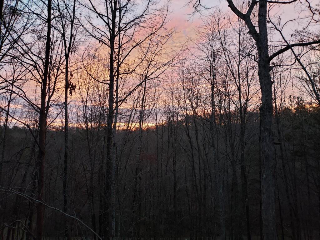 a sunset in a forest with trees in the foreground at Squirrels Hideaway Fire Pit MTN Views in Copperhill