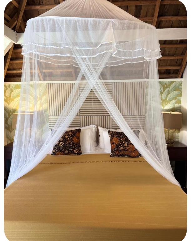 a bed with mosquito netting over it in a room at Atunumai in Temae