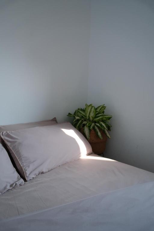 a white bed with a plant in a room at Island River in Green Island