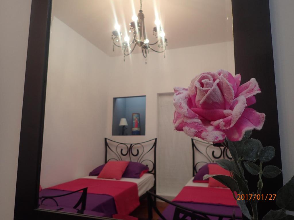 Fotografia z galérie ubytovania Apartment Villa Bonadea v Slano