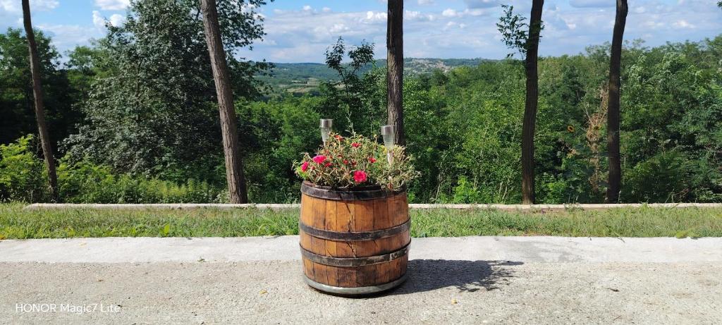 a barrel with flowers in it sitting on the ground at Kosmaj - Sopot in Sopot