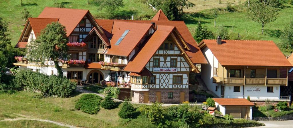 a large house with orange roofs on a hill at Bäuerlehof in Seebach