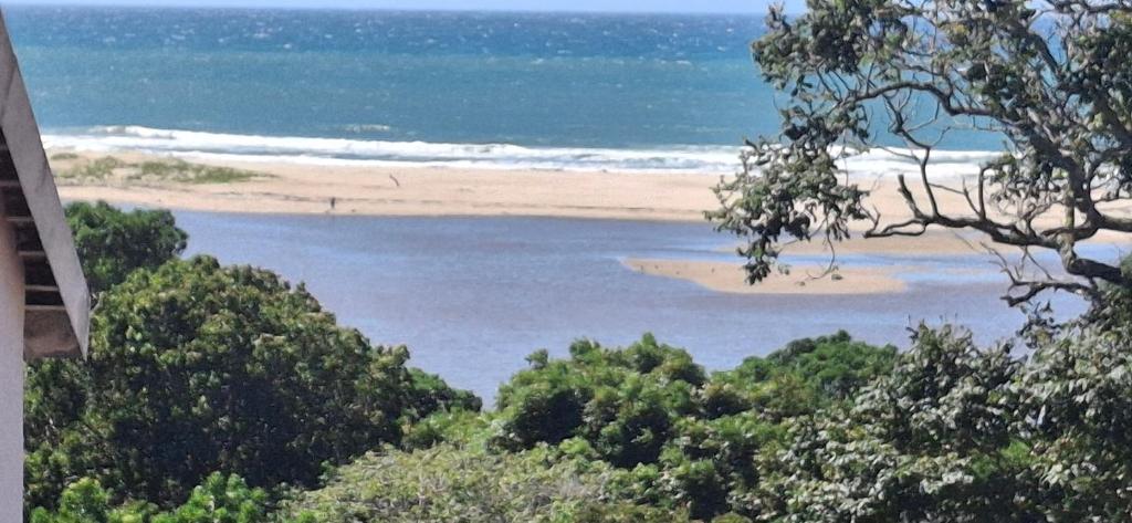 a view of a beach with trees and the ocean at Villa Alba in Margate