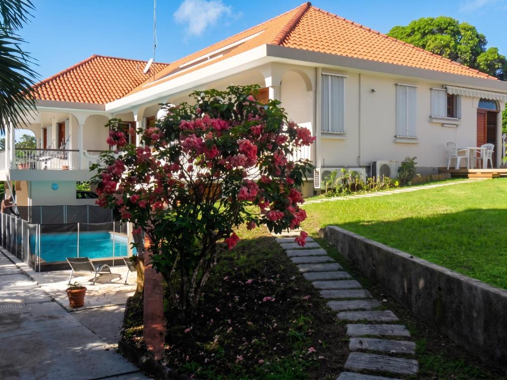 a house with a tree in front of it at Studio charmant à Sainte-Anne, 23 m², piscine partagée in Sainte-Anne