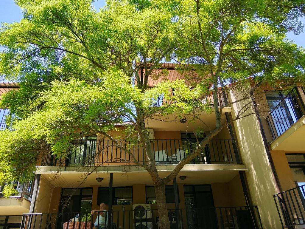 a tree in front of a building with a balcony at Fani 2 in Lozenets