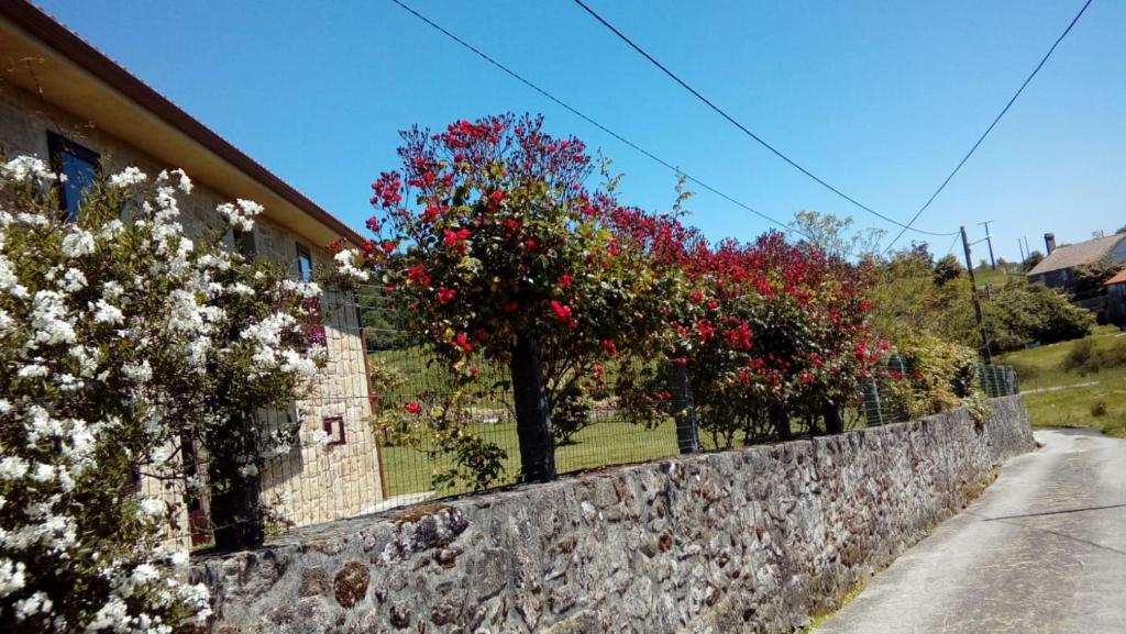 a stone retaining wall with trees with red flowers at Casa da Poza in A Estrada
