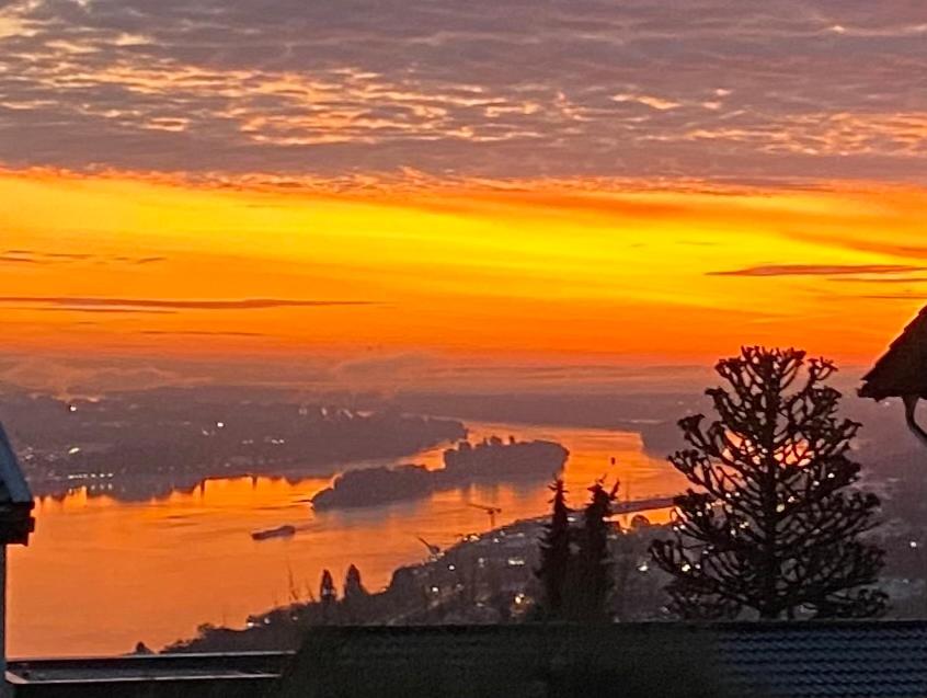a sunset with a view of a body of water at Sunrise Loft in Bingen am Rhein