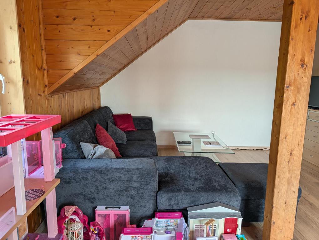 ein Wohnzimmer mit grauem Sofa und rosa Möbeln in der Unterkunft Gemütlich & einladend in Laufenselden