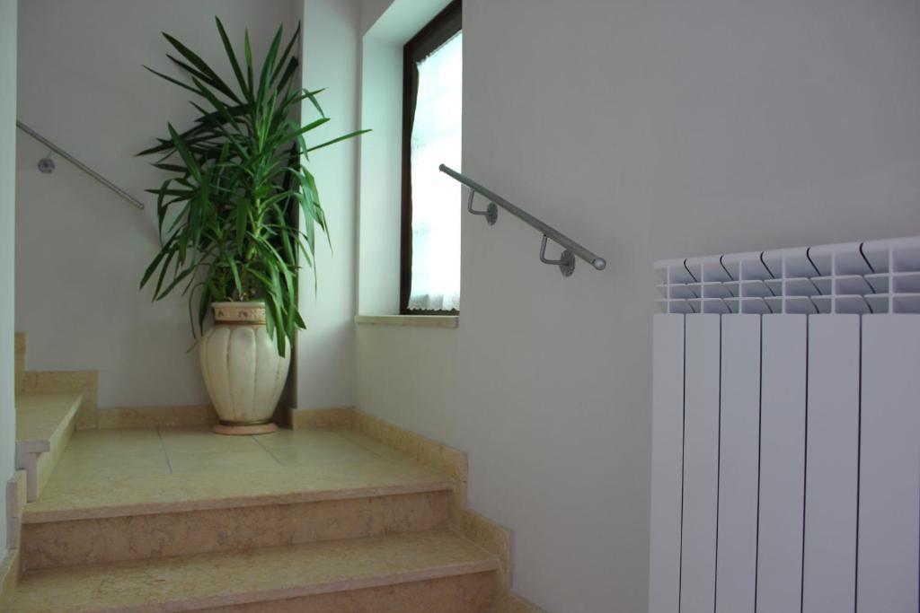 Fotografie z fotogalerie ubytování Hotel Cenzo v destinaci Ovindoli