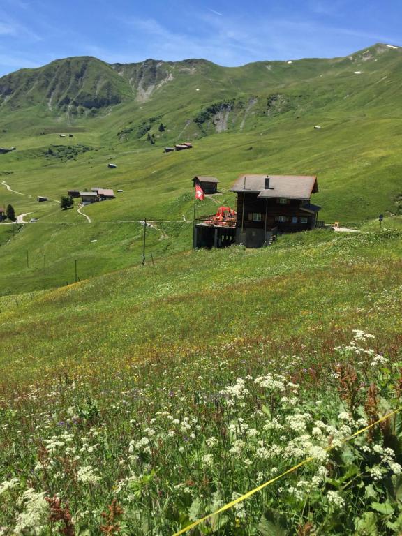 Příroda nedaleko penzionu – hostince