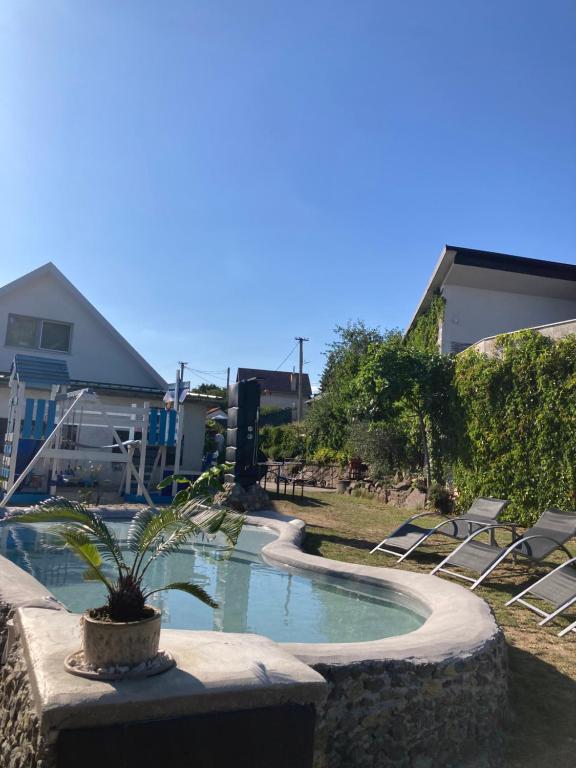 a swimming pool with chairs and a potted plant at chata Viňanka in Michalovce