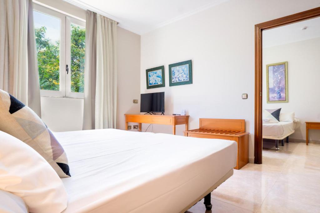 Checkin Valencia Ciscar - Economy Quadruple Room