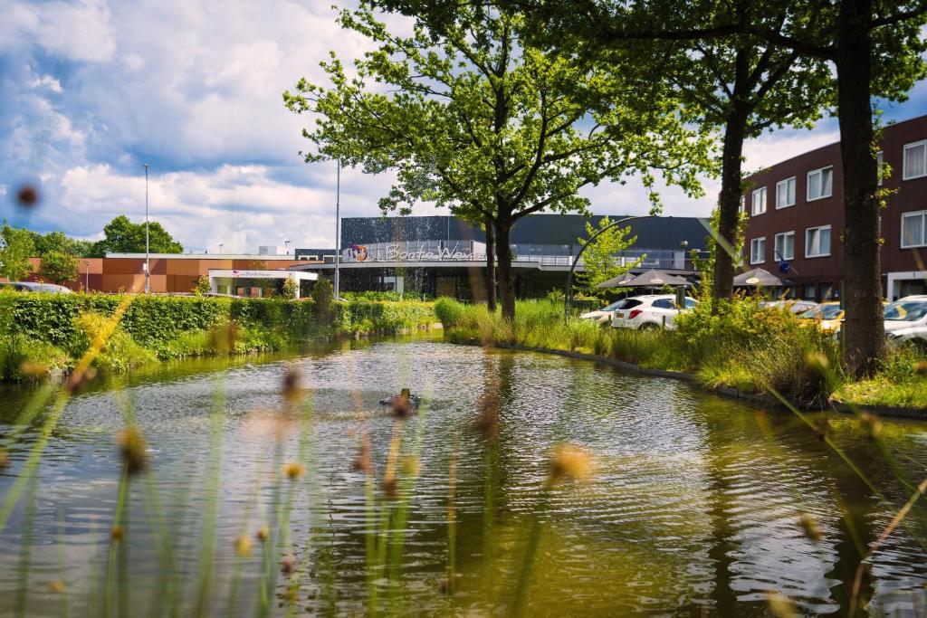 a duck swimming in a pond in a city at Hotel De Bonte Wever Assen in Assen