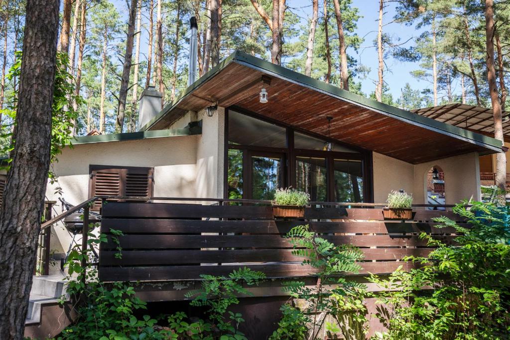 a house with a staircase in the woods at Domek letniskowy "Wiewiórka" - Oaza Spokoju in Ocypel