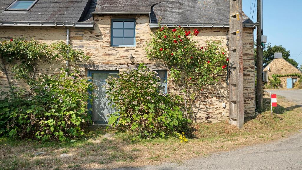 a brick house with roses growing on the side of it at Gite champêtre in Tréal