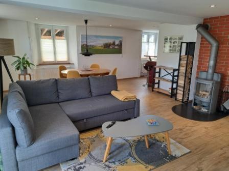 a living room with a blue couch and a fireplace at Le Pélerin in Saignelégier
