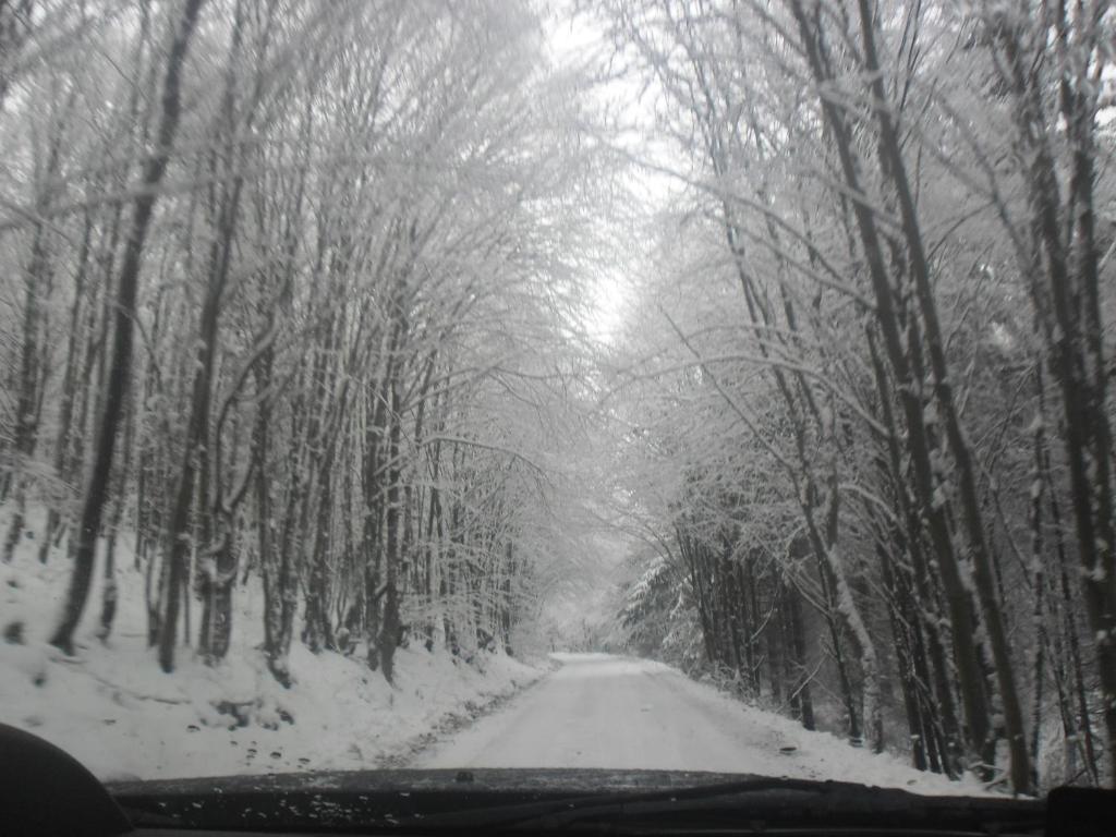 Sebesvi­z Panzió v zimě