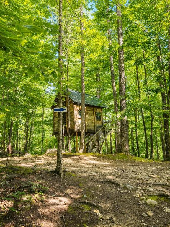 a tree house in the middle of a forest at Off-Grid Treehouse White Mountain National Forest in North Lovell