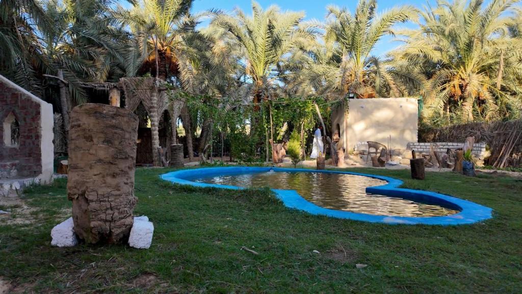 a pool in the middle of a yard with palm trees at Mezorin Farm & Hot Spring - Peaceful Eco-Retreat & Private Stay in Siwa