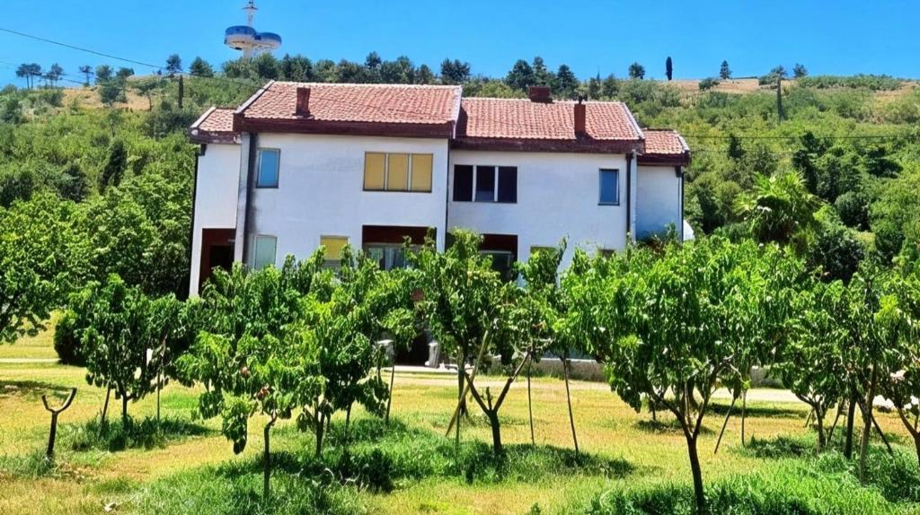 a house in the middle of a field with trees at Kiwi house in Podgorica