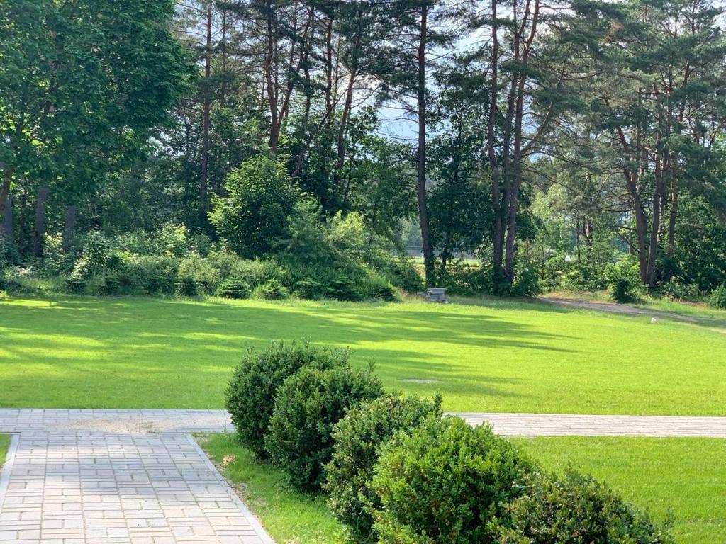 a garden with a lawn with bushes and trees at Galeria PRL in Borne Sulinowo