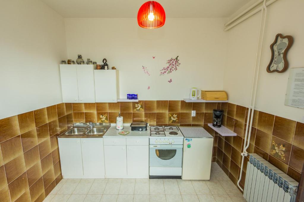Kuchyň nebo kuchyňský kout v ubytování Apartments Villa Luciana