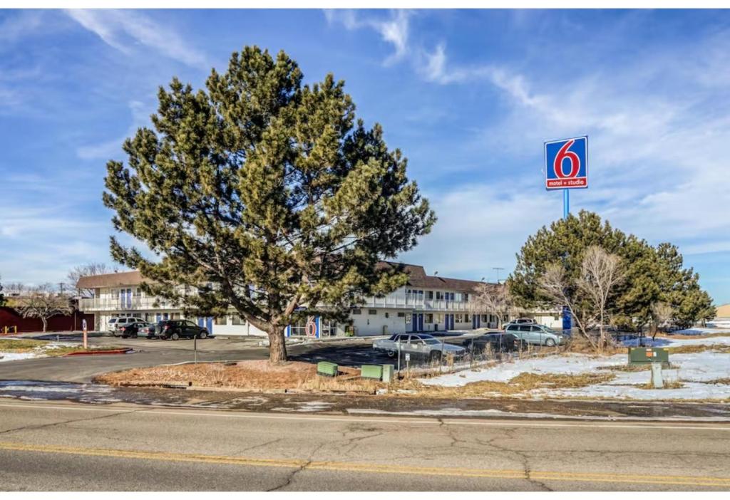 a no parking sign and a tree in a parking lot at Studio 6 Fort Collins CO in Fort Collins