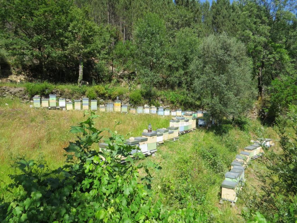 Příroda nedaleko penzionu