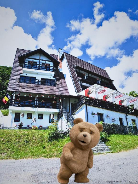 a teddy bear standing in front of a house at Pensiunea Ursuleț Bran in Bran