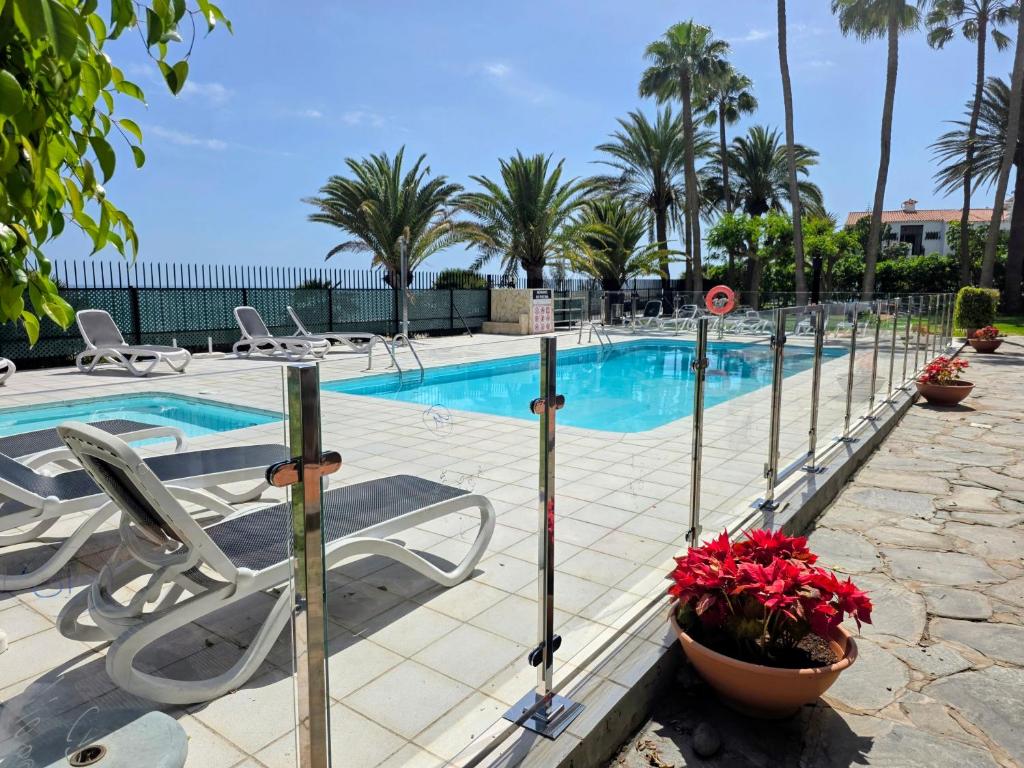 a swimming pool with chairs and plants in a resort at 8i Ocean Front Playa 4 in San Bartolomé