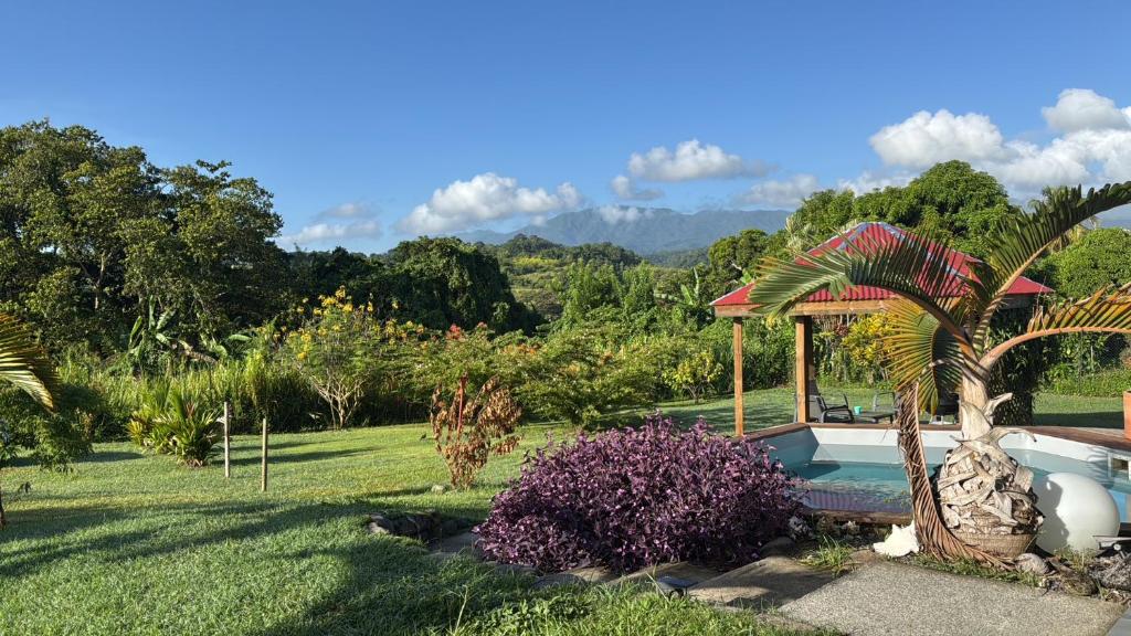 a garden with a swimming pool and a palm tree at Plein Vent in Petit-Bourg