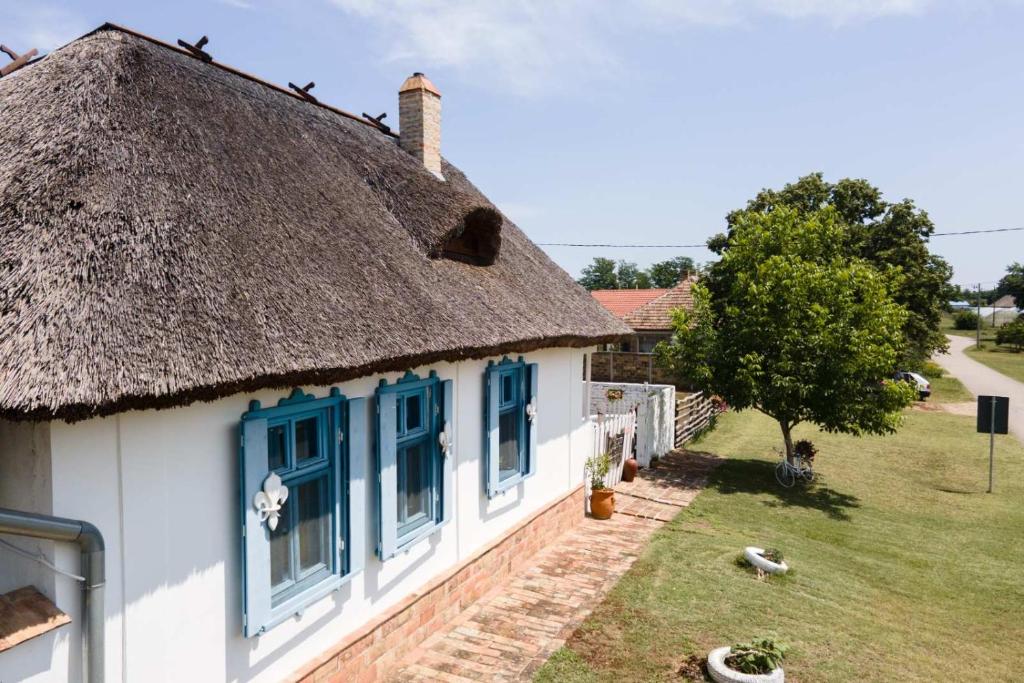 a thatch roofed house with blue windows and a yard at Matejev konak in Šušara