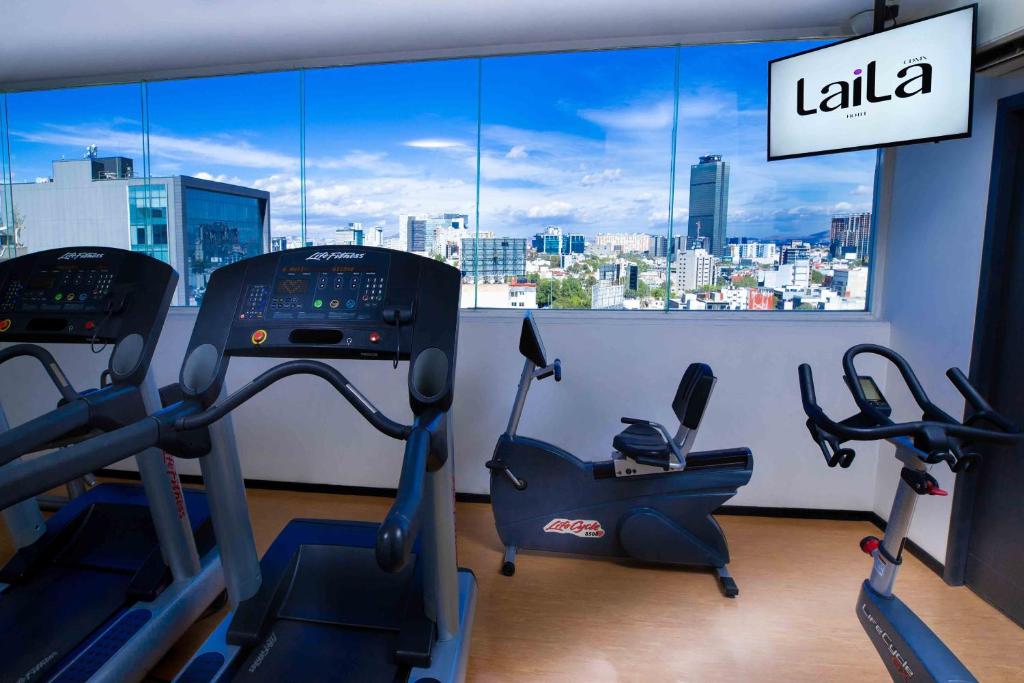 A compact gym with treadmills, bikes and a striking city view.