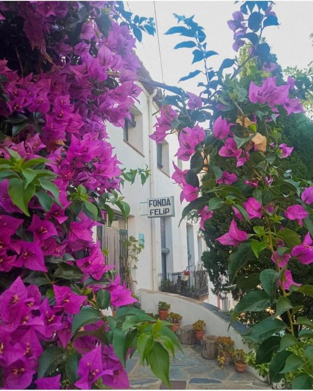 a bunch of purple flowers in front of a building at Fonda Felip in Port de la Selva