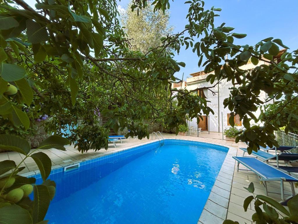 a blue swimming pool with chairs and trees at Limoneto by Espresso Rentals in Massa Lubrense