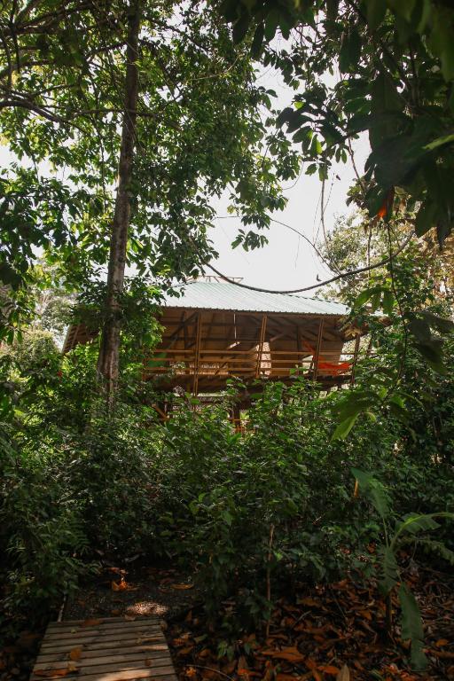 a wooden building in the middle of a forest at Madre Selva Eco Lodge in Nuquí