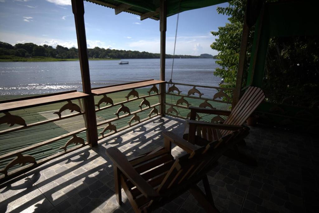 a porch with a bench and a bunch of birds at Casa Delfín in Tortuguero