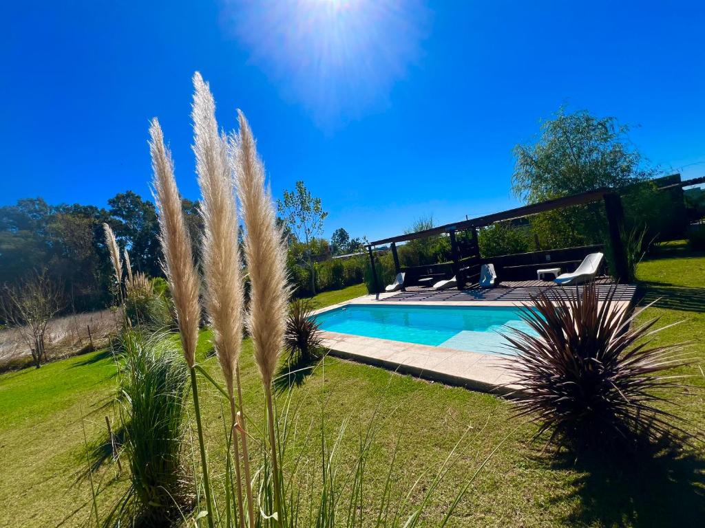 a swimming pool in a yard with grass at EBC SUM&Aparts in San Miguel del Monte