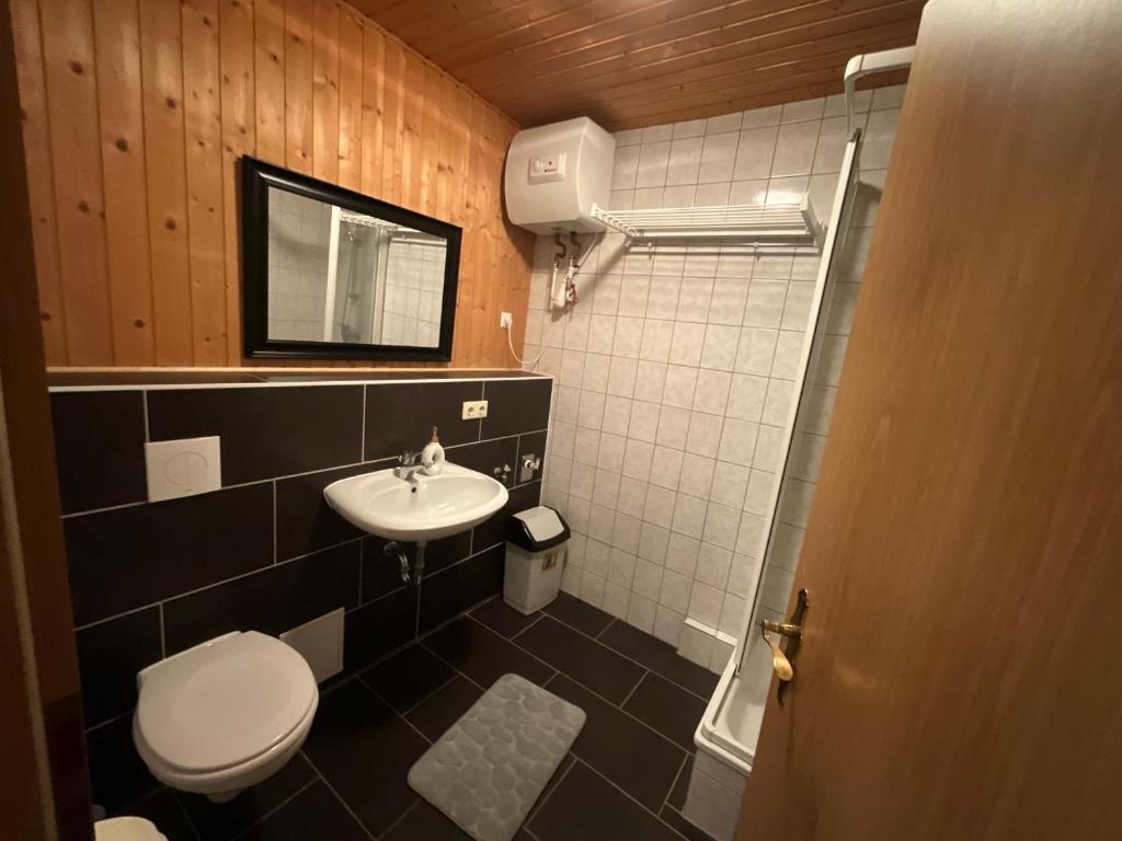 a small bathroom with a toilet and a sink at Il tempio del Gusto in Oelsnitz