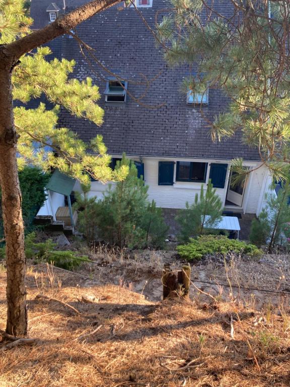 a dog standing in front of a house at Maison calme Quend-Plage Petite Californie in Quend-Plage